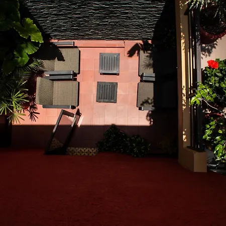 The Red Tree House
