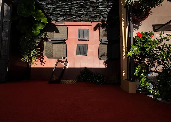 Bed & Breakfast The Red Tree House Mexico City