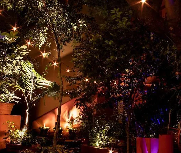 The Red Tree House Mexico City