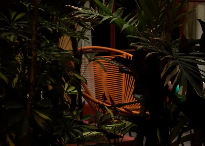 The Red Tree House 3* Mexico City