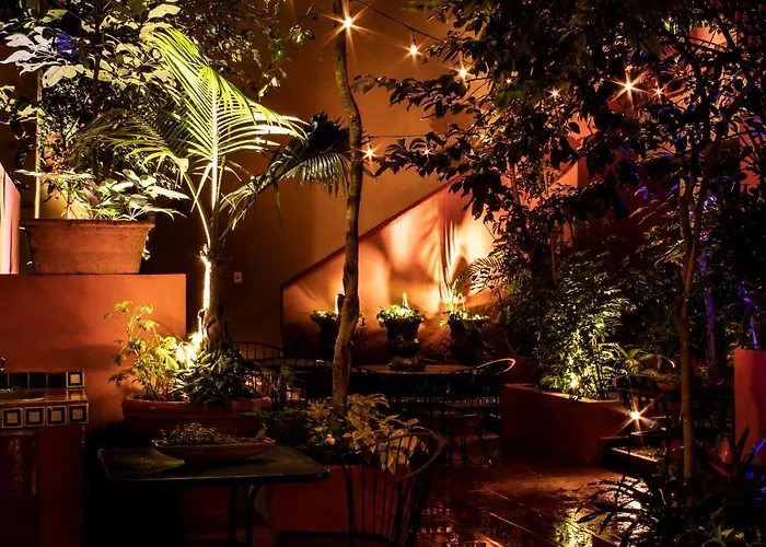 The Red Tree House Mexico City