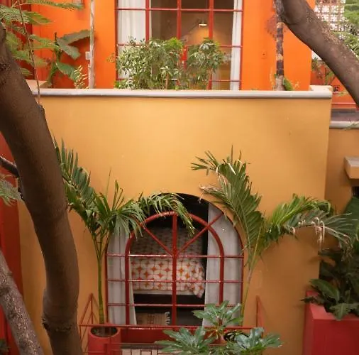 The Red Tree House