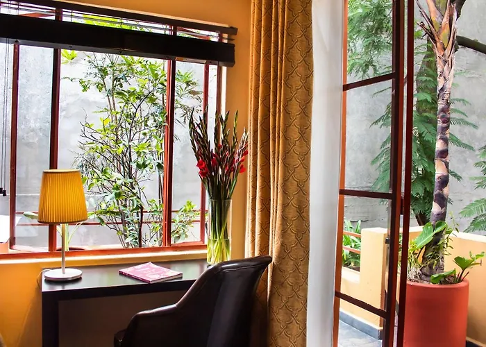 Bed & Breakfast The Red Tree House Mexico City