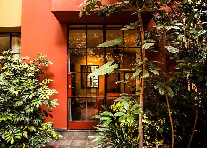 The Red Tree House 3* Mexico City