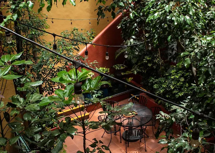 The Red Tree House Bed & Breakfast