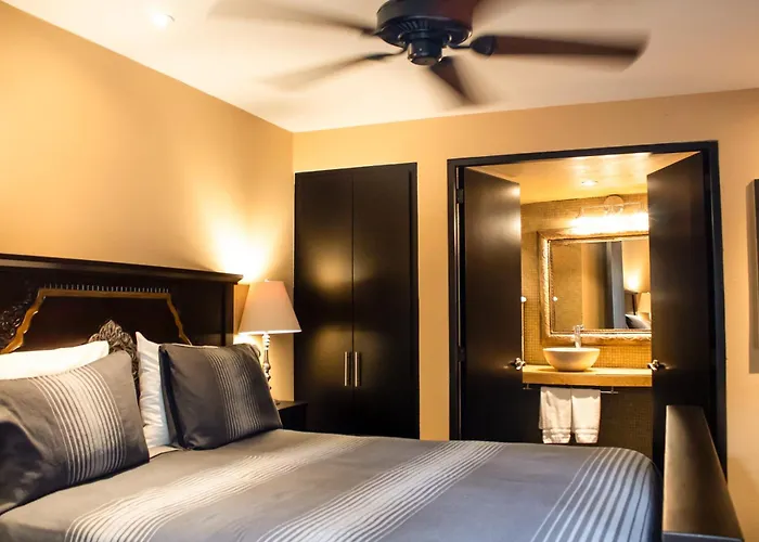 The Red Tree House Bed & Breakfast Mexico City