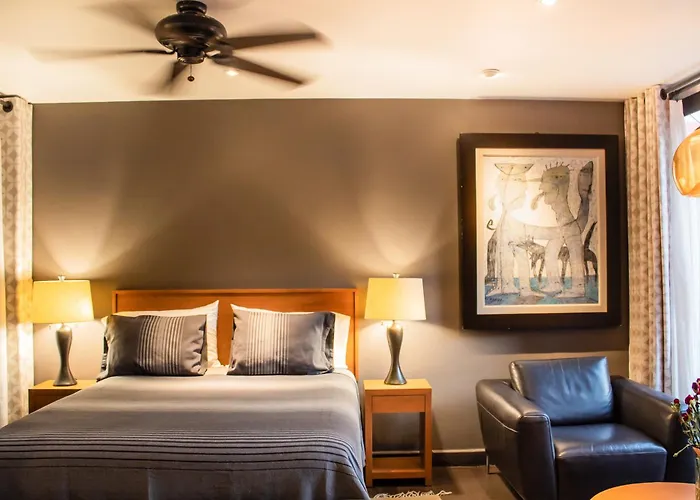 Bed & Breakfast The Red Tree House