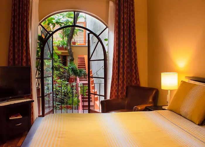 The Red Tree House 3* Mexico City