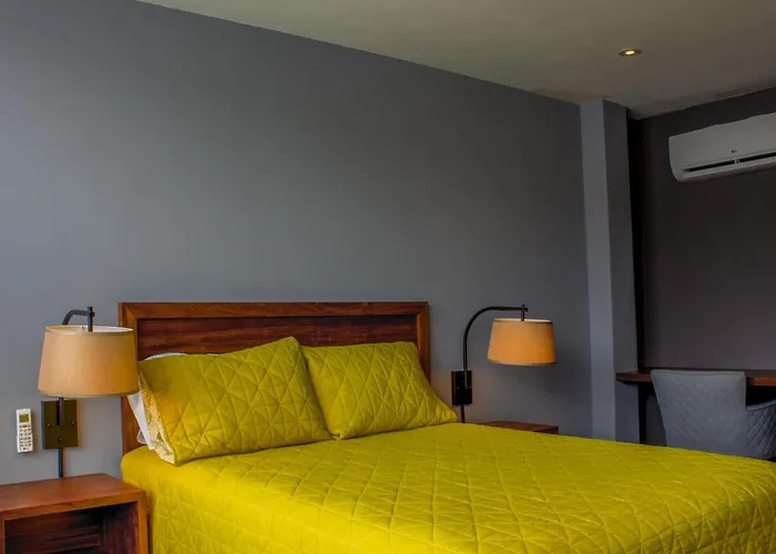 The Red Tree House Bed & Breakfast Mexico City