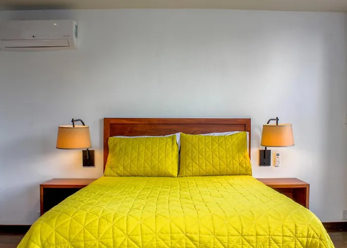 Bed & Breakfast The Red Tree House Mexico City
