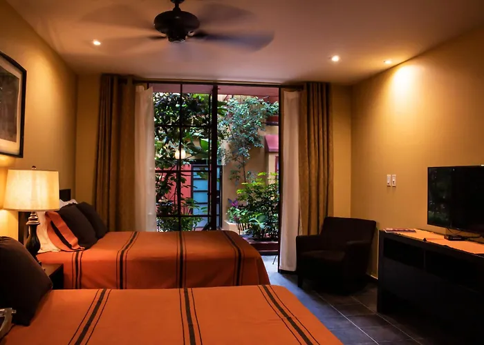 The Red Tree House 3* Mexico City